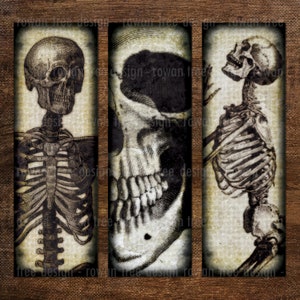 SKULLS AND SKELETONS Digital Collage Sheet 1x3in Halloween Spooky - no. 0026