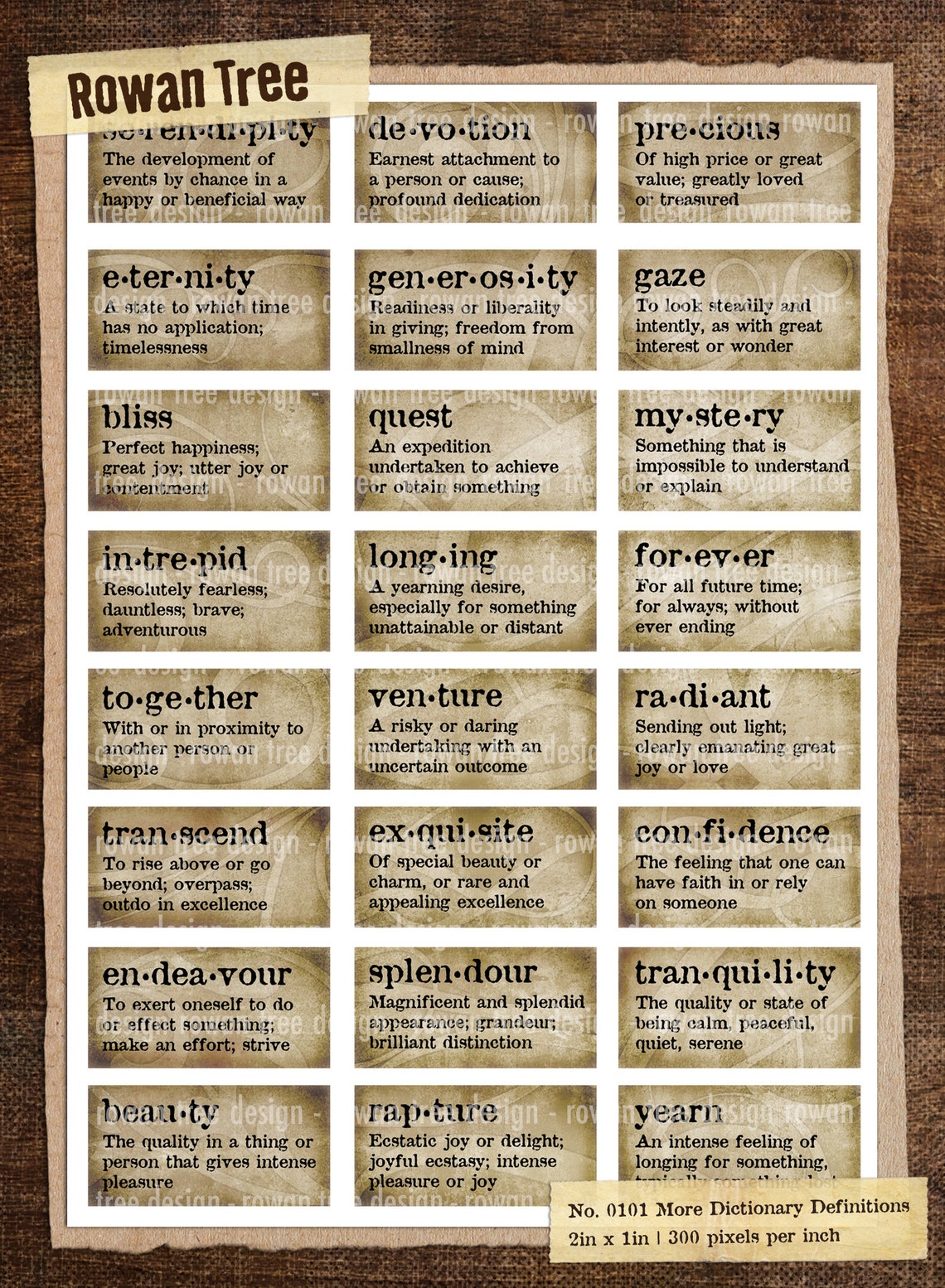 HOW MANY DEFINITIONS DOES DICTIONARY HAVE visual data 5