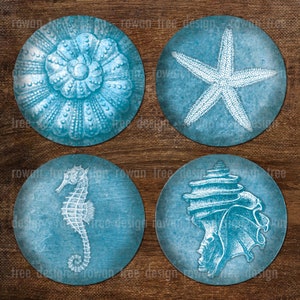 CONCHAS, ESTRELLAS DE MAR Y CABALLOS DE MAR Hoja de collage digital 1,5 pulgadas o círculos de 1 pulgada - no. 0018