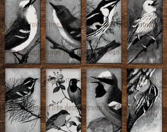 BLACK & WHITE BIRDS Digital Collage Sheet 1x2in - no. 0218