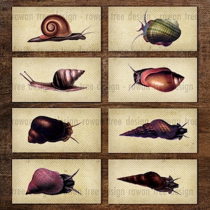 VINTAGE SNAILS Foglio collage digitale 2x1 pollici - n. 0129