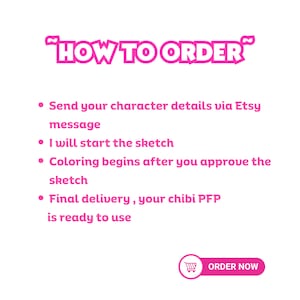 May include: A white background with pink text that reads "HOW TO ORDER". Bullet points detail the ordering process: send character details, sketch begins, coloring after approval, and final delivery. A pink "ORDER NOW" button is at the bottom.