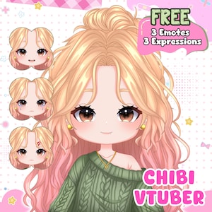 Custom Chibi VTuber | Live2D Model & Rigging | Fully Rigged Anime Avatar