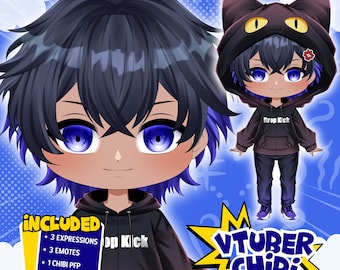 Custom Chibi VTuber Model | Live2D Rigged Anime PNGTuber for Streaming