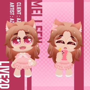 Ready to Use Bouncy Vtuber, Mei Leen Neko Girl / Premade model, ready for streaming / Vtube Studio / Commercial use / Fully Rigged