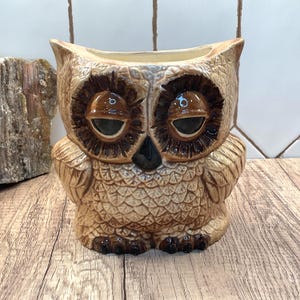 May include: A ceramic owl-shaped planter featuring a light tan body with textured feather details, dark brown accents around the eyes, and a black beak. The owl has a wide, open top for planting and a glossy finish, with a neutral color palette.