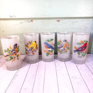 West Virginia Glass &quot;Song Birds&quot; Frosted Textured 12 Oz Glasses, set of 5, Baltimore Oriole, Gold Finch, Blue Bird, Robin, Scarlet Tanager