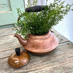 May include: A vintage copper teapot with a wooden handle and lid, used as a planter for a green plant.
