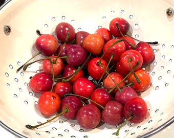 Vintage Faux Red Cherries, One Pint, Decorative Cherries with Stems,