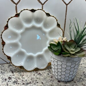 May include: A white, scalloped egg plate with a gold rim sits next to a small, gray, hexagonal-patterned pot holding several faux succulents. The egg plate has 12 egg indentations. The background is a white tile with a brown geometric pattern.