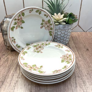 Puede incluir: Un juego de seis platos de cerámica blanca con un diseño floral de flores rosas y verdes y borde marrón. Un plato está en posición vertical. Una planta suculenta decorativa está en el fondo.