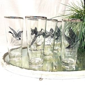 Vintage Federal Glass Game Bird Barware: Silver Rimmed Glasses, Set of 5