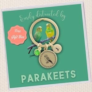Personalized Parakeet Budgie Pendant Keychain for Parakeet Lover Gift Custom Birthstone Initial Bird Key Chain Silver Budgie Bird Keyring