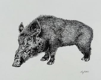 Razorback, Wild Hog, Pen and Ink Art Print Created by the Arkansas Artist, 8x10" Print, Unframed
