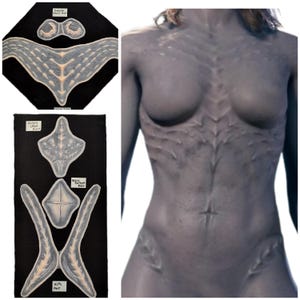 PIEZAS INDIVIDUALES DE TIEFLING. Baldur's Gate: 3 escamas de Tiefling. Súcubo, demonio femenino, prótesis de torso.