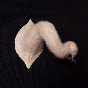 Pode incluir: Uma escultura abstrata rosa claro, com uma base em forma de folha e um apêndice curvo e difuso. A base tem uma superfície texturizada, e o apêndice é feito de material macio e fibroso. A escultura está sobre um fundo preto.