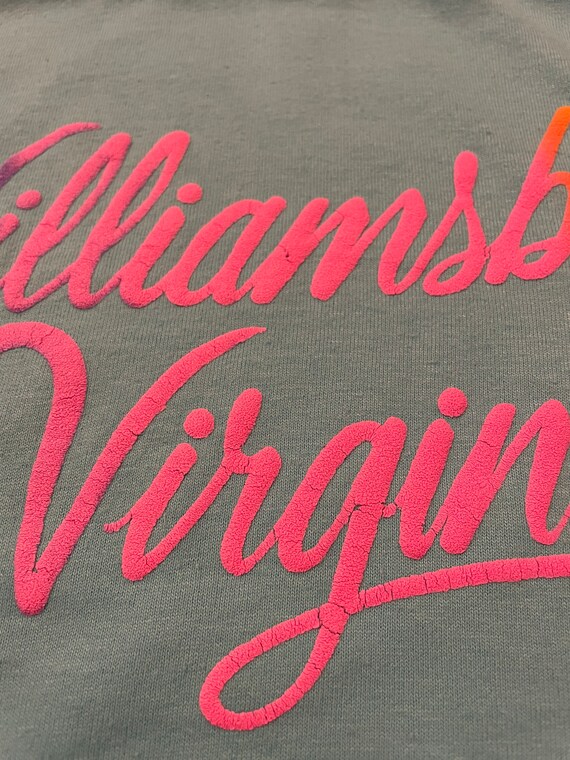 Vintage 90s Williamsburg Virginia Neon Single Sti… - image 6