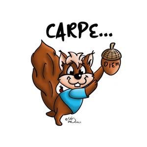May include: A cartoon squirrel wearing a blue shirt holds a brown acorn with the word "DIEM" written on it. The squirrel is looking at the acorn. The text "CARPE..." is above the squirrel.