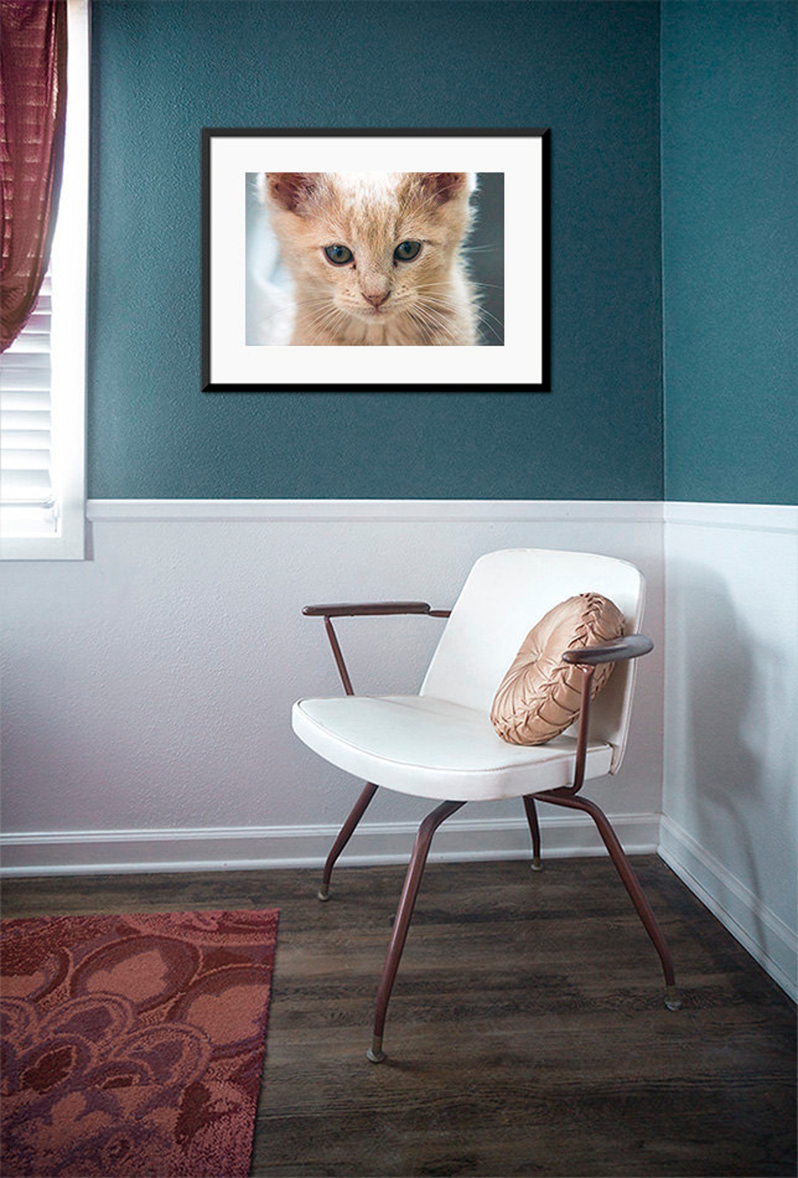 Kitten Photograph Cat Photograph Kitten Whiskers Cute Kitten Orange