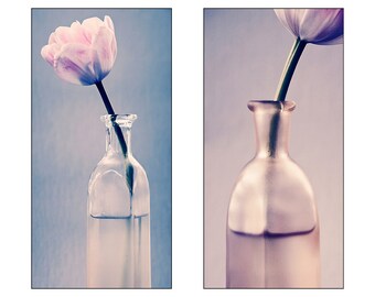 Tulip Photo Set - Vertical Still Life -- Floral Art Prints