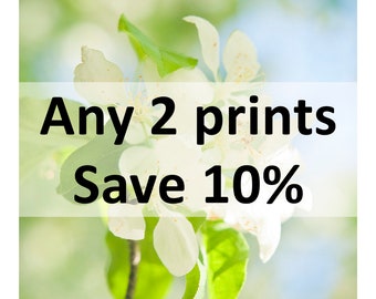 Custom Photo Set - Custom Print Set - Set of Two Prints - Save 10% - Fine Art Photography - Flower Photos - Nature Photos - Wall Art