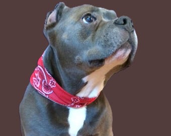 Dog scarf Safety reflective strip Tubular stretch - 7 color styles 2 sizes