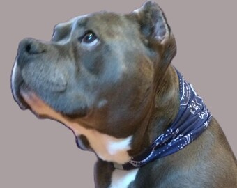 Dog Bandana scarf Safety reflective strip Tubular stretch - 7 styles 2 sizes