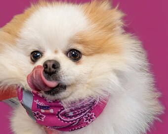 Dog Bandana neck gaiter scarf Tube stretch- safety reflective - 7 color styles