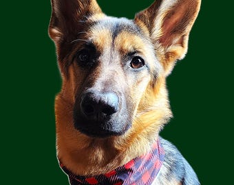 Lox Sox DOG - Pet scarf accessory-  stretch- reflective- 7 color styles