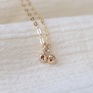 May include: A gold chain necklace with a charm of two small gold circles. One circle has the letter "R" engraved on it and the other has a paw print engraved on it.