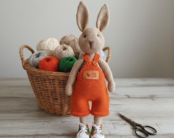 Oliver the Bunny Crochet Pattern | Amigurumi Doll with Overalls (PDF Pattern)