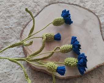 Crochet cornflower, pattern of a cornflower flower, Amigurumi, Crochet Flower Bouquet Pattern, PDF