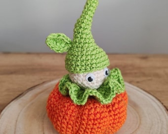May include: A handmade crochet gnome doll with a pumpkin body. The gnome wears a green hat with a pointed tip and matching green collar. The pumpkin is orange, and the gnome's face is off-white with googly eyes.
