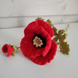 Schema per un papavero all'uncinetto, Amigurumi, Schema per un bouquet di fiori all'uncinetto, Regalo all'uncinetto per lei, Composizione floreale all'uncinetto, PDF