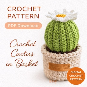 Crochet Cactus Flower Pot Pattern: Pincushion Plant (PDF Pattern)