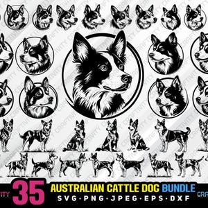 australian cattle dog bundle svg png jpeg eps dxf bundle silhouette clipart cricut vector commercial use custom cattle dog vector dog svg