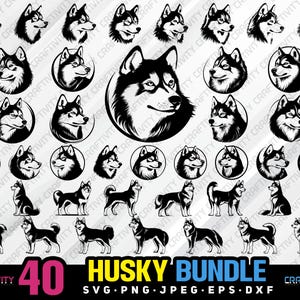 husky bundle svg png jpeg eps dxf bundle silhouette clipart cricut vector commercial use custom siberian husky head sitting standing husky