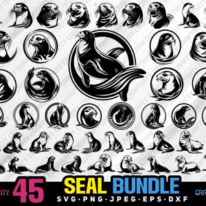 seal bundle svg png jpg eps dxf bundle silhouette clipart cricut vector commercial use custom seal animal bundle seal silhouette seal vector