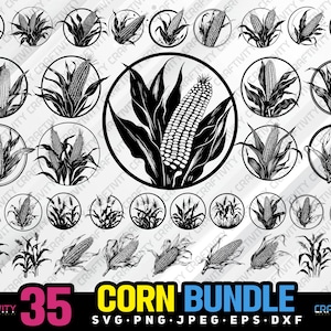corn bundle svg png jpeg eps dxf engrave silhouette clipart cricut laser vector commercial use custom corn crops plants bundle corn vector