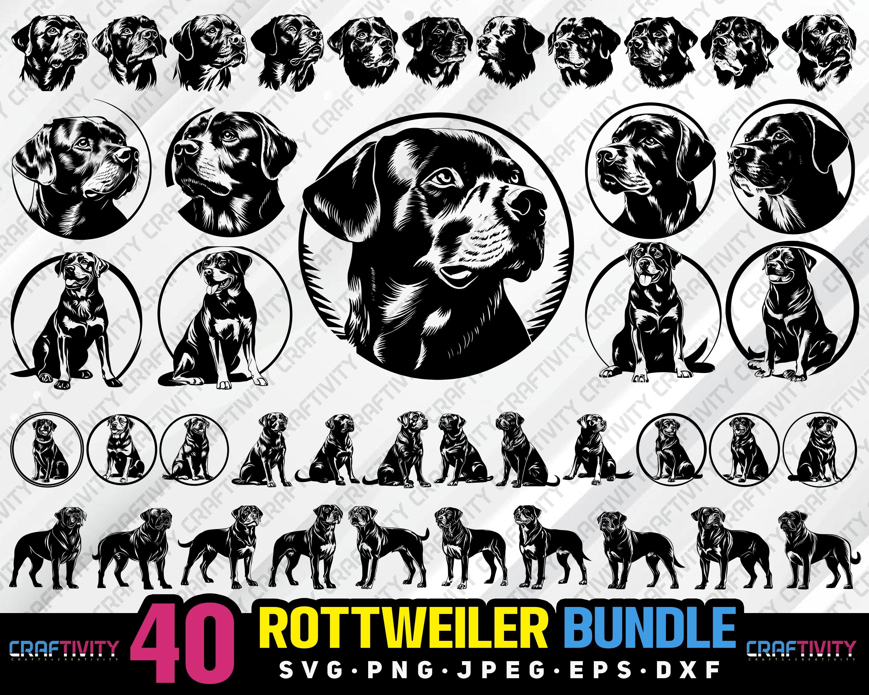 Rottweiler Bundle Svg Png Jpeg Eps Dxf Bundle Silhouette Clipart Cricut ...