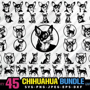 Chihuahua Clipart Bundle (svg, png, jpg, eps, dxf) Commercial Use