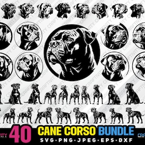 cane corso bundle svg png jpg eps dxf bundle silhouette clipart cricut vector commercial use custom cane corso dog bundle dog vector dog svg