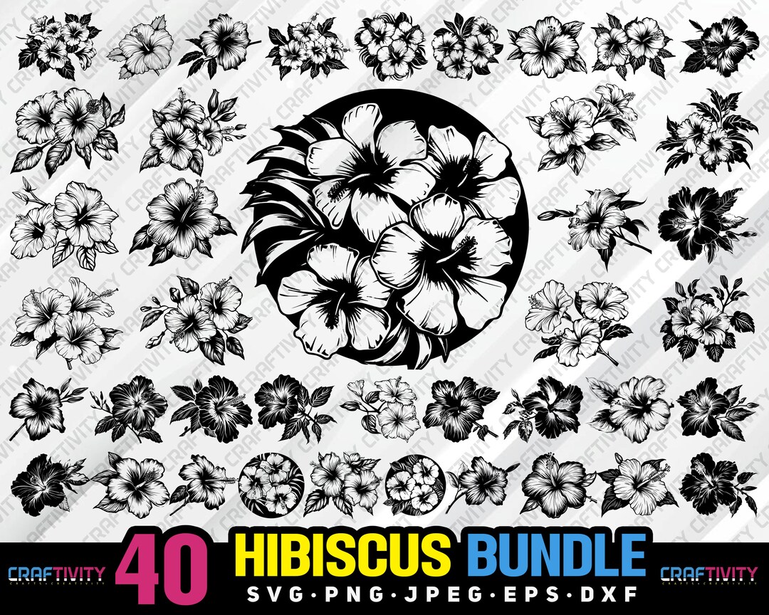Hibiscus Flower Clipart Bundle: Hawaii Summer SVG PNG (digital Download ...