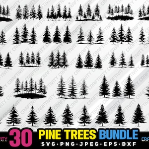 May include: A set of 30 black silhouette pine tree illustrations. The trees are in various sizes and shapes, and some are grouped together. The image includes the text "30 PINE TREES BUNDLE SVG.PNG.JPEG.EPS.DXF".