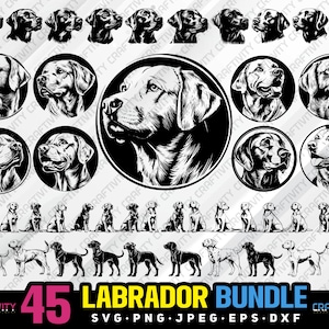 labrador bundle svg png jpeg eps dxf bundle silhouette clipart cricut vector commercial use custom labrador dog bundle labrador dog vector