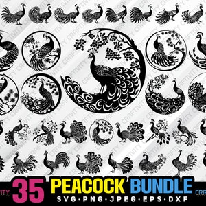 peacock bundle svg png jpeg eps dxf bundle silhouette clipart cricut vector commercial use custom peacock bird bundle peacock silhouette svg