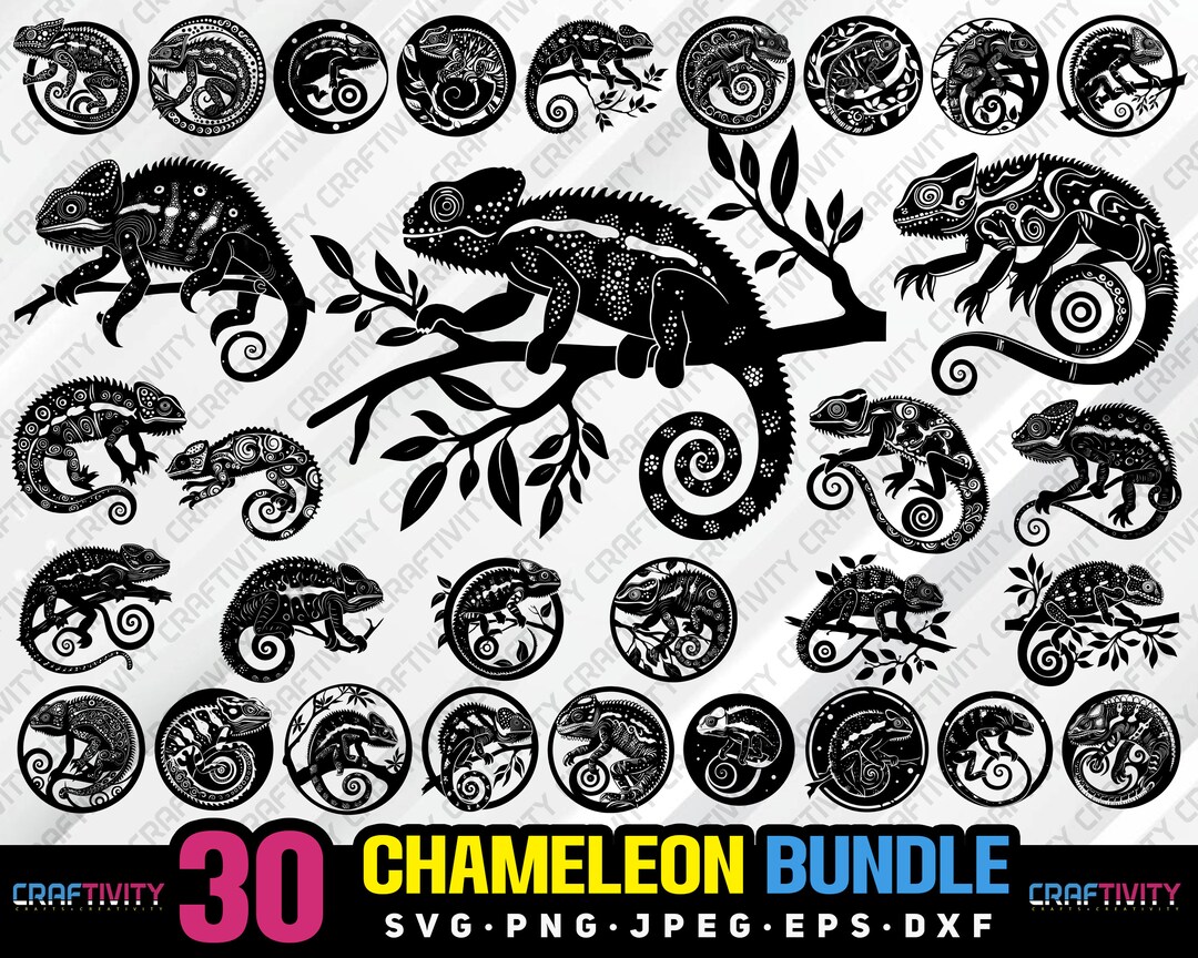Chameleon Bundle Svg Png Jpeg Eps Dxf Bundle Silhouette Clipart Cricut ...