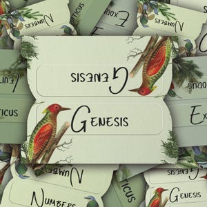 May include: A collection of light green Bible tabs with the word "Genesis" in a script font. Each tab features a colorful illustration of a woodpecker perched on a branch. Other tabs are visible with the words "Numbers", "Exodus", and "Leviticus".