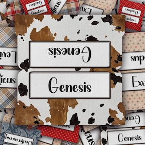May include: White and brown cowhide-patterned file folder tabs with the word "Genesis" in a black, elegant font. Other tabs with text are visible in the background, including "Numbers" and "Exodus".