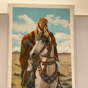 Postal del rancho Jadaan Kellogg, caballo árabe de Rodolfo Valentino de 1926, película de Hollywood de los años 20, arte ecuestre, El hijo del jeque, cereales